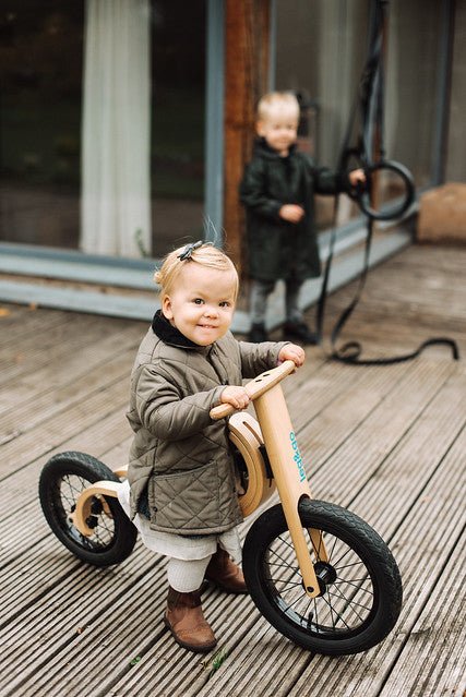 
                  
                    Leg & Go Adjustable Balance Bike - 3 in 1
                  
                