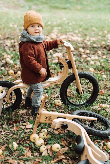 
                  
                    Leg & Go Adjustable Balance Bike - 3 in 1
                  
                