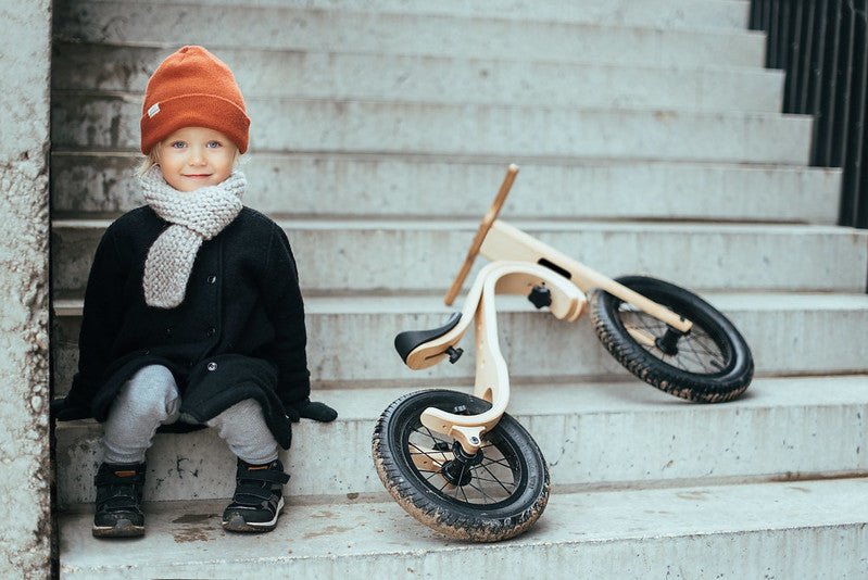 
                  
                    Leg & Go Adjustable Balance Bike - 3 in 1
                  
                