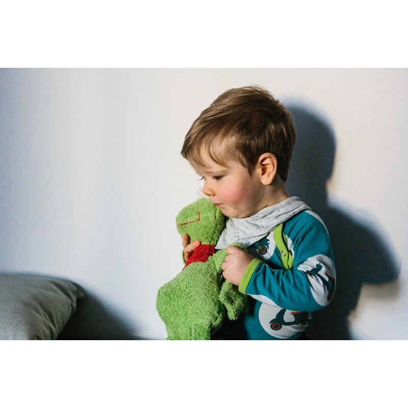 
                  
                    Efie Organic Cotton Frog by Efie - blueottertoys - EF75909
                  
                