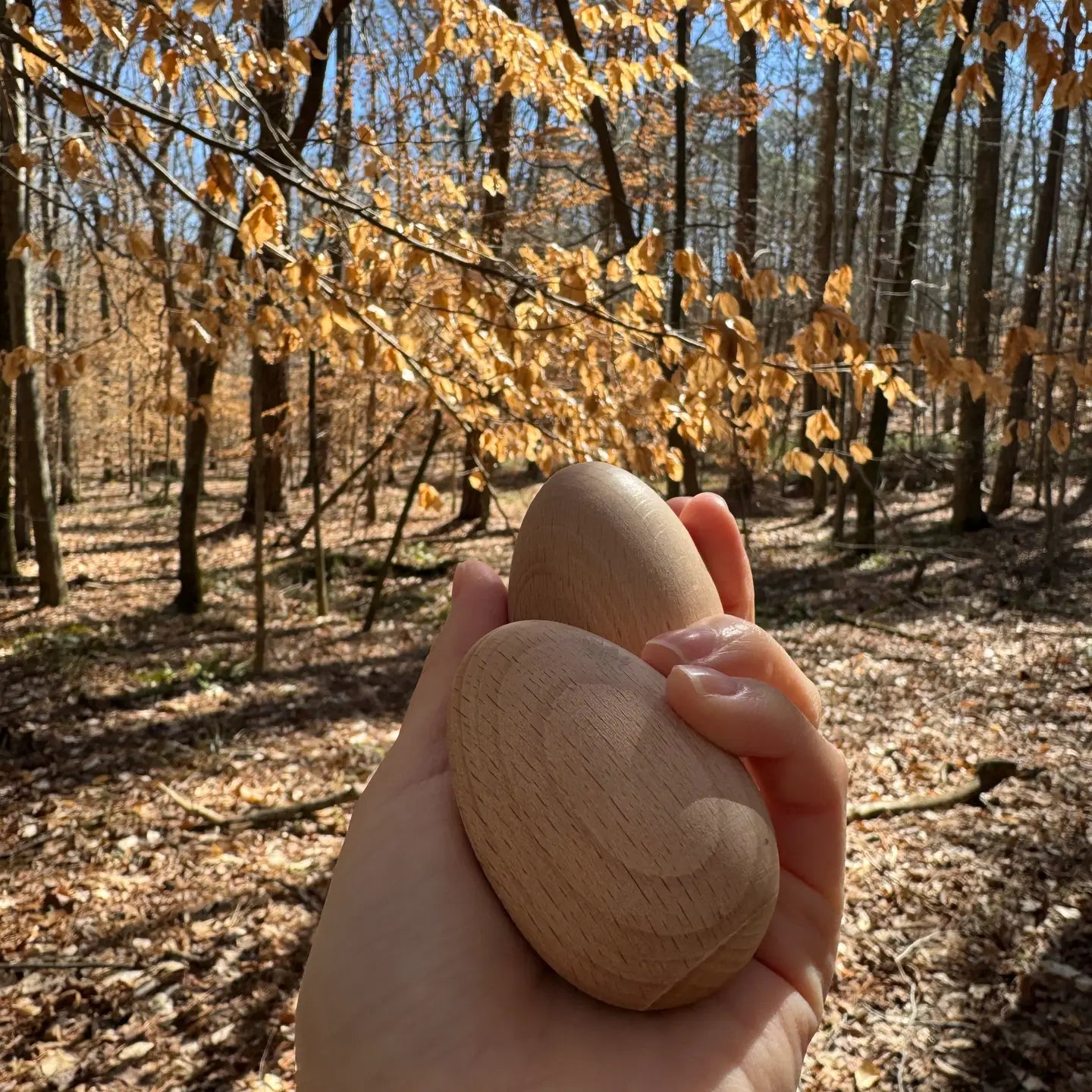 
                  
                    all wooden elements egg shakers unfinished
                  
                