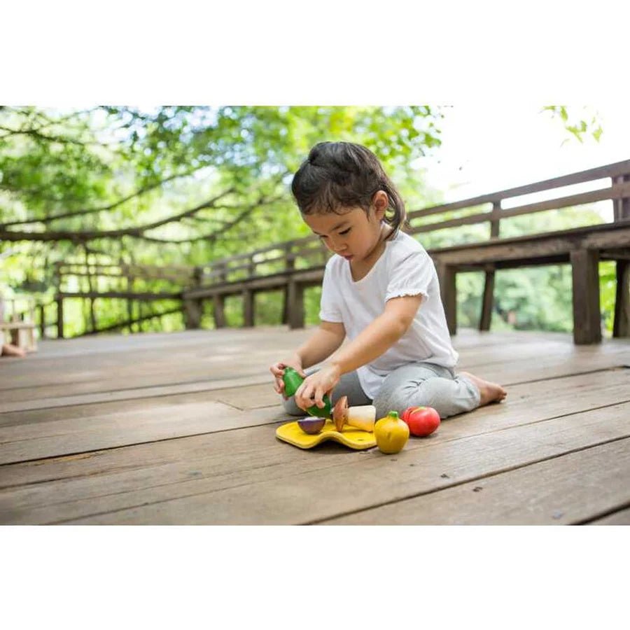 
                  
                    plantoys planwood vegetable set lifestyle shot
                  
                